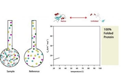 1L Differential Scanning Calorimeter solution|differential calorimetry equation.